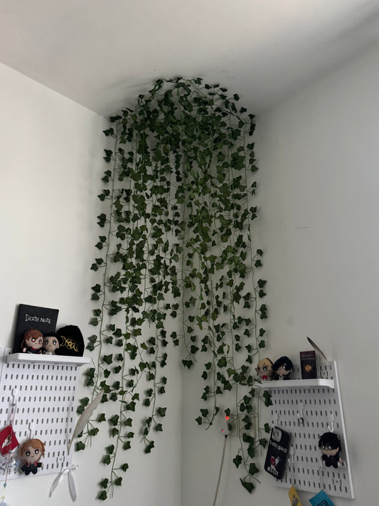 النبتة المتسلقة