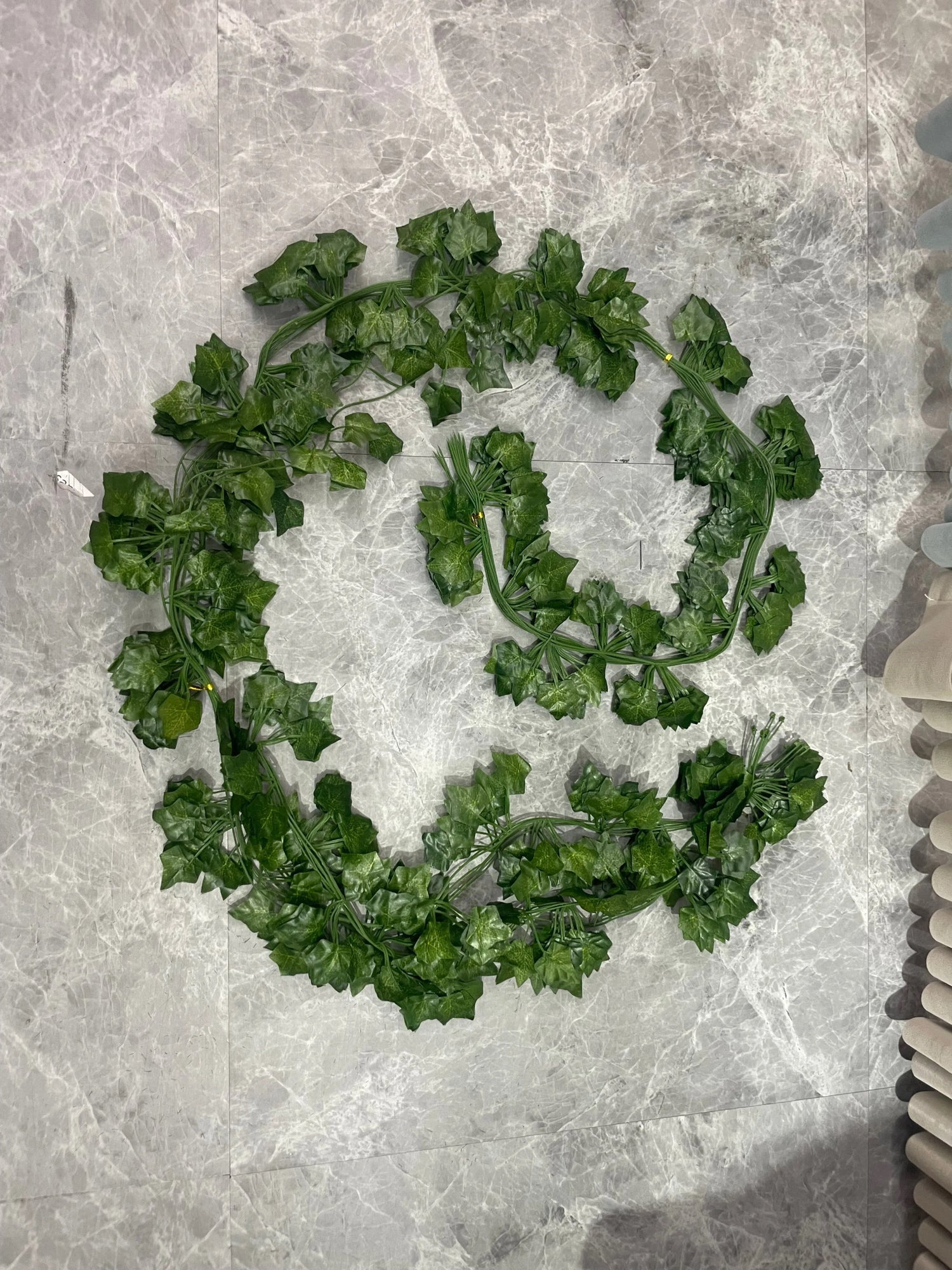 نباتات برسونية