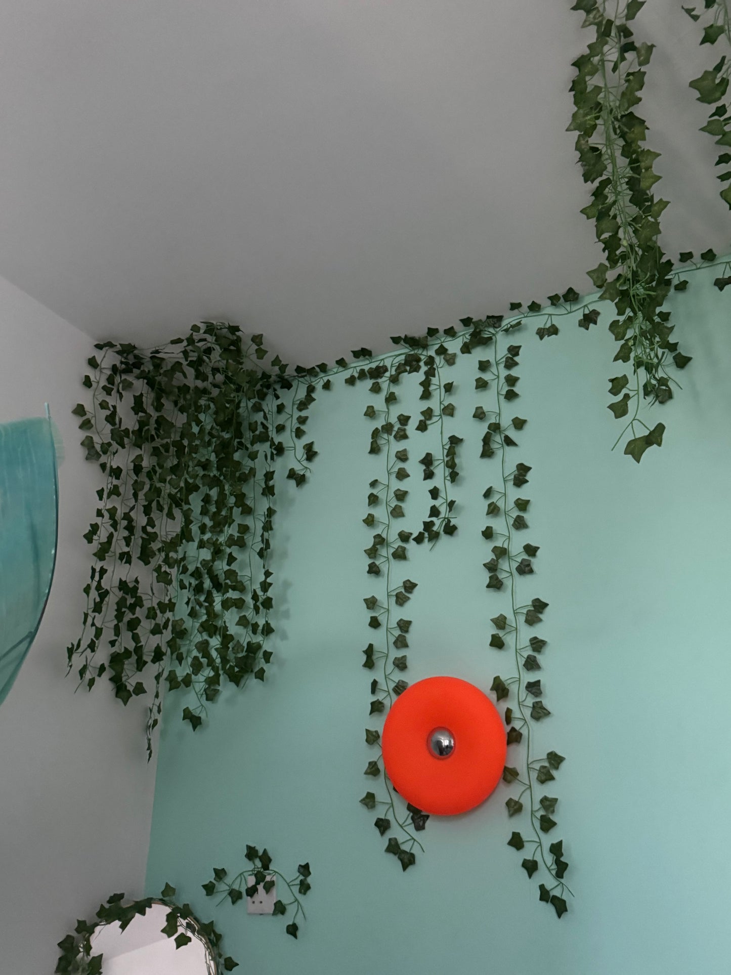 النبتة المتسلقة