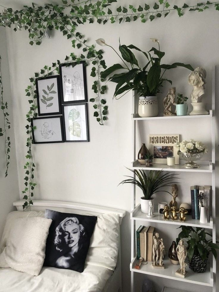 النبتة المتسلقة