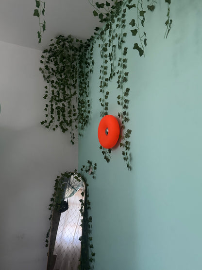 النبتة المتسلقة