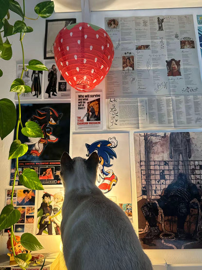 فوانيس الفراوله الورقيه